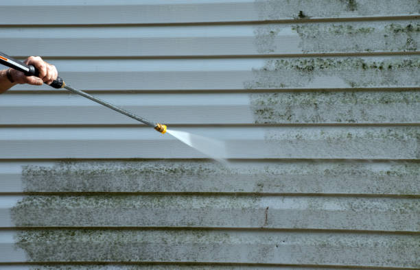 Professional Mold Remediation in Palmer, TX